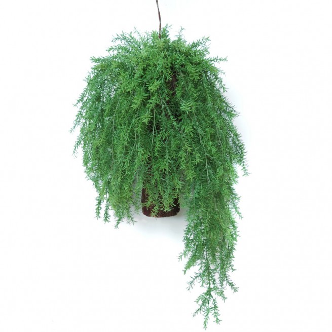 Planta semi-artificiala Ila, Asparagus Country Hanging - 80 cm
